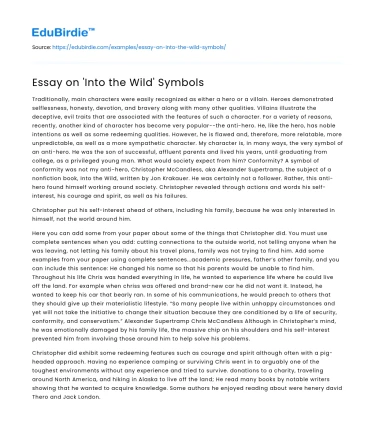 Essay on ‘Into the Wild’ Symbols