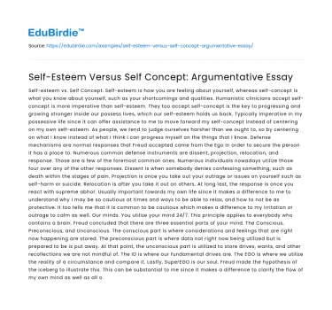Self-Esteem Versus Self Concept​: Argumentative Essay