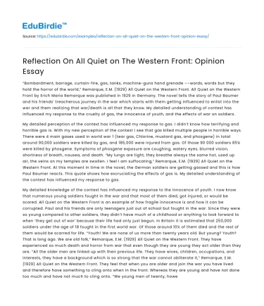 Reflection On All Quiet on The Western Front: Opinion Essay