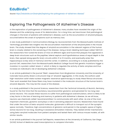 Exploring The Pathogenesis Of Alzheimer’s Disease