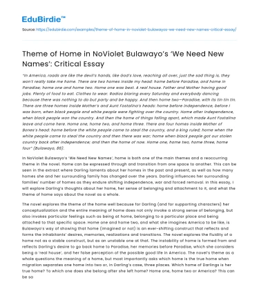 Theme of Home in NoViolet Bulawayo’s ‘We Need New Names’