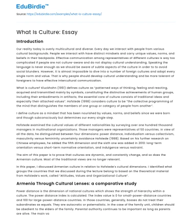 What Is Culture: Essay