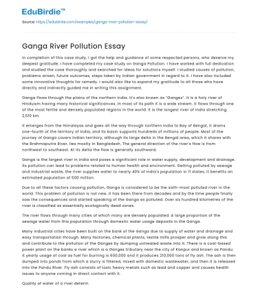 Ganga River Pollution Essay