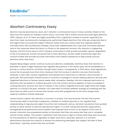 Abortion Controversy Essay