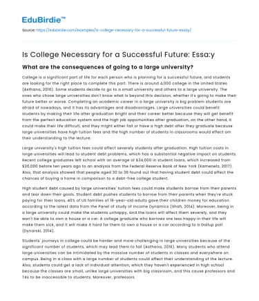 Is College Necessary for a Successful Future: Essa:y