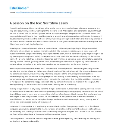 A Lesson on the Ice: Narrative Essay