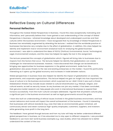 Reflective Essay on Cultural Differences