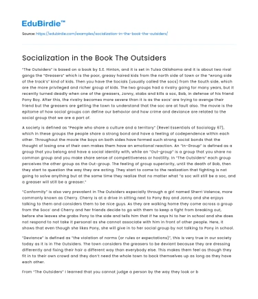 Socialization in the Book The Outsiders