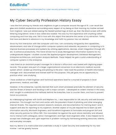 My Cyber Security Profession History Essay