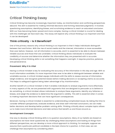 Critical Thinking Essay