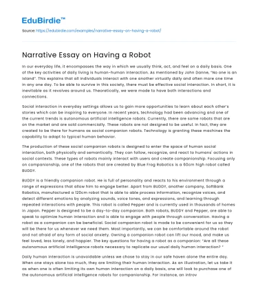 Narrative Essay on Having a Robot
