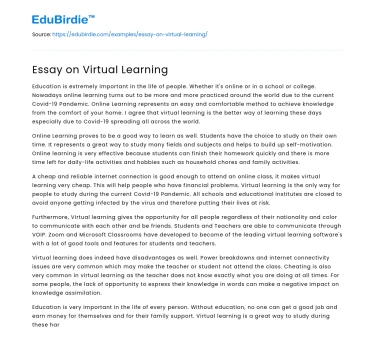 Essay on Virtual Learning