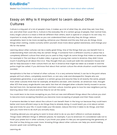 Essay on Why Is It Important to Learn about Other Cultures