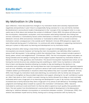 My Motivation in Life Essay