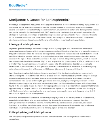 Marijuana and Its Link to Schizophrenia: A Critical Analysis