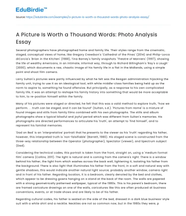 A Picture Is Worth a Thousand Words: Photo Analysis Essay