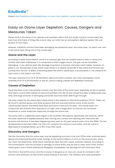 Essay on Ozone Layer Depletion: Causes, Dangers and Measures Taken