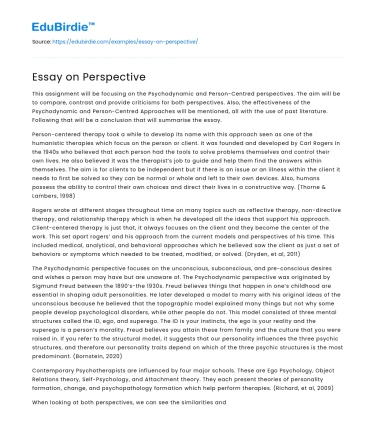 Essay on Perspective