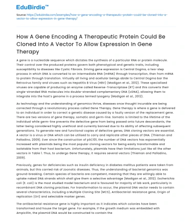 Cloning Therapeutic Gene into Vector for Gene Therapy
