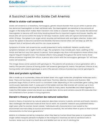 A Succinct Look Into Sickle Cell Anemia
