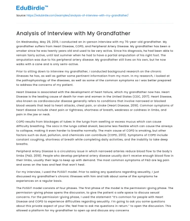 Analysis of Interview with My Grandfather