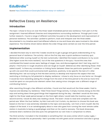 Reflective Essay on Resilience