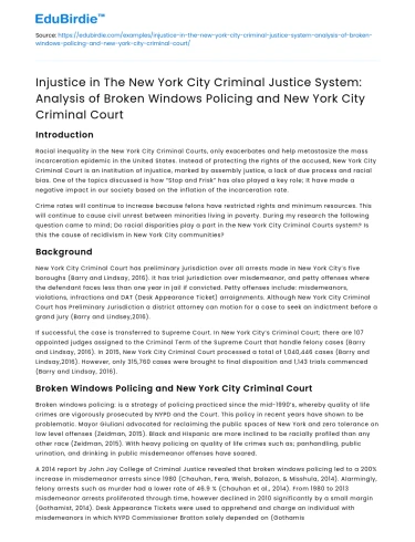 Injustice in NYC Criminal Justice: Broken Windows Policing Analysis