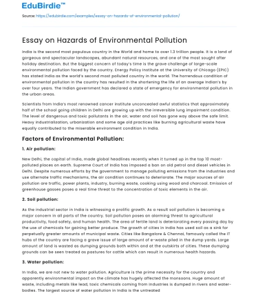 Essay on Hazards of Environmental Pollution