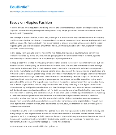 Essay on Hippies Fashion