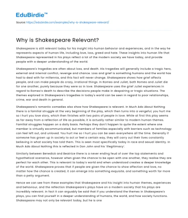 Why is Shakespeare Relevant?