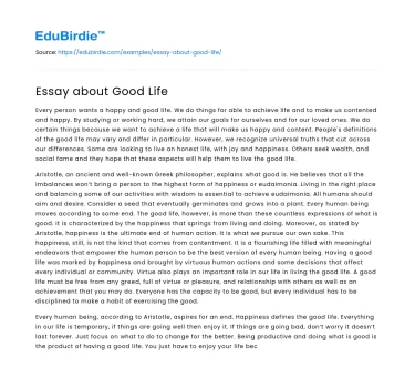 Essay about Good Life