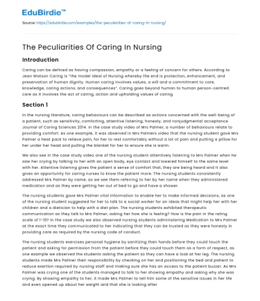 The Peculiarities Of Caring In Nursing