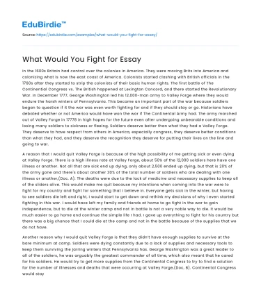 What Would You Fight for Essay