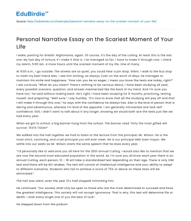 Personal Narrative Essay on the Scariest Moment of Your Life