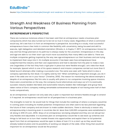 Strength And Weakness Of Business Planning From Various Perspectives