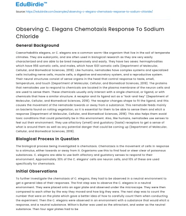 Observing C. Elegans Chemotaxis Response To Sodium Chloride