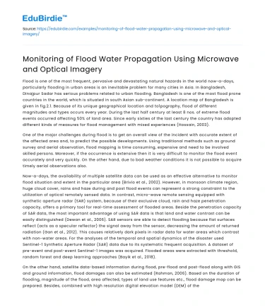 Monitoring of Flood Water Propagation Using Microwave and Optical Imagery