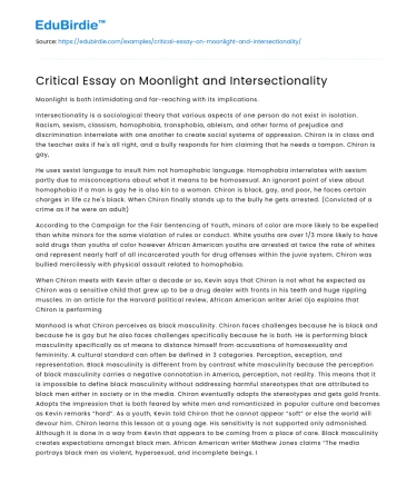 Intersectionality in Moonlight: A Critical Analysis