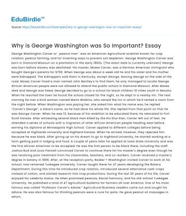 Why is George Washington was So Important? Essay