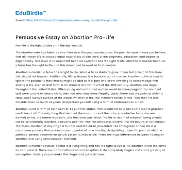 Protecting Life: A Pro-Life Perspective
