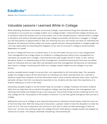 Valuable Lessons I Learned While in College