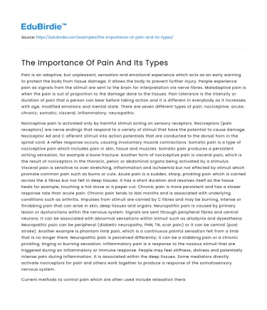 The Importance Of Pain And Its Types
