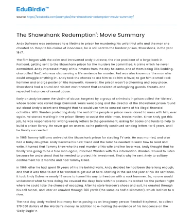 Redemption in Cinema: A Shawshank Perspective