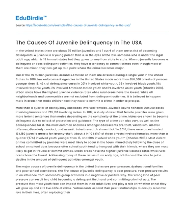 The Causes Of Juvenile Delinquency In The USA