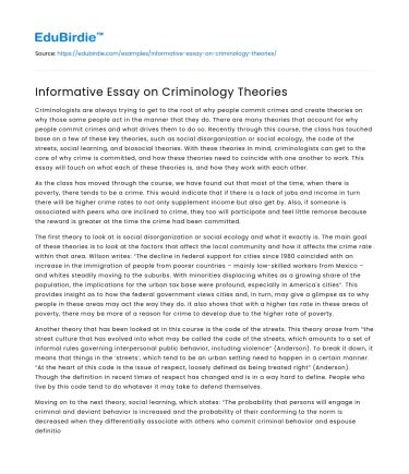 Informative Essay on Criminology Theories