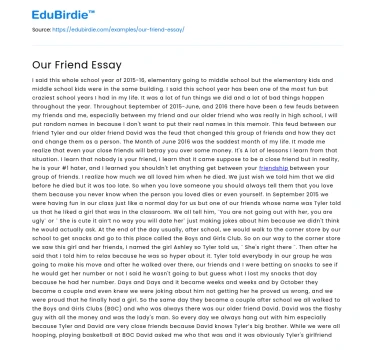 Our Friend Essay