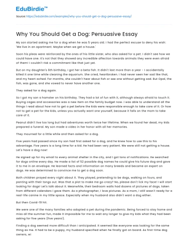 Why You Should Get a Dog: Persuasive Essay