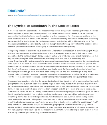 The Symbol of Rosebush in The Scarlet Letter