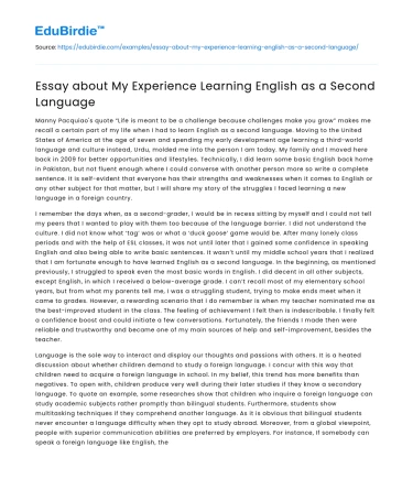 Essay about My Experience Learning English as a Second Language