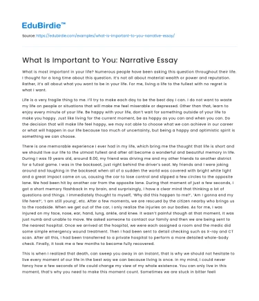 What Is Important to You: Narrative Essay